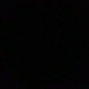 Meet your Posher, Sasha